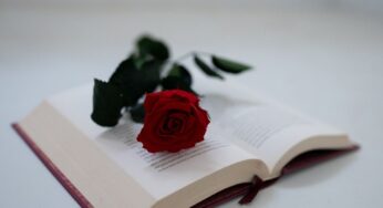 Le 14 poesie d’amore più belle di sempre
